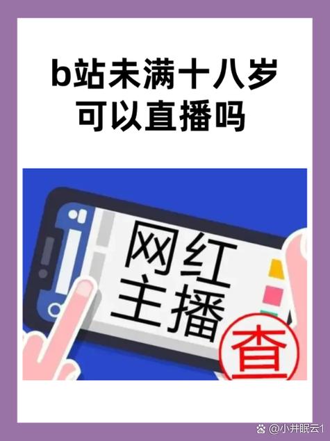 b站未满十八岁不能消费怎么办