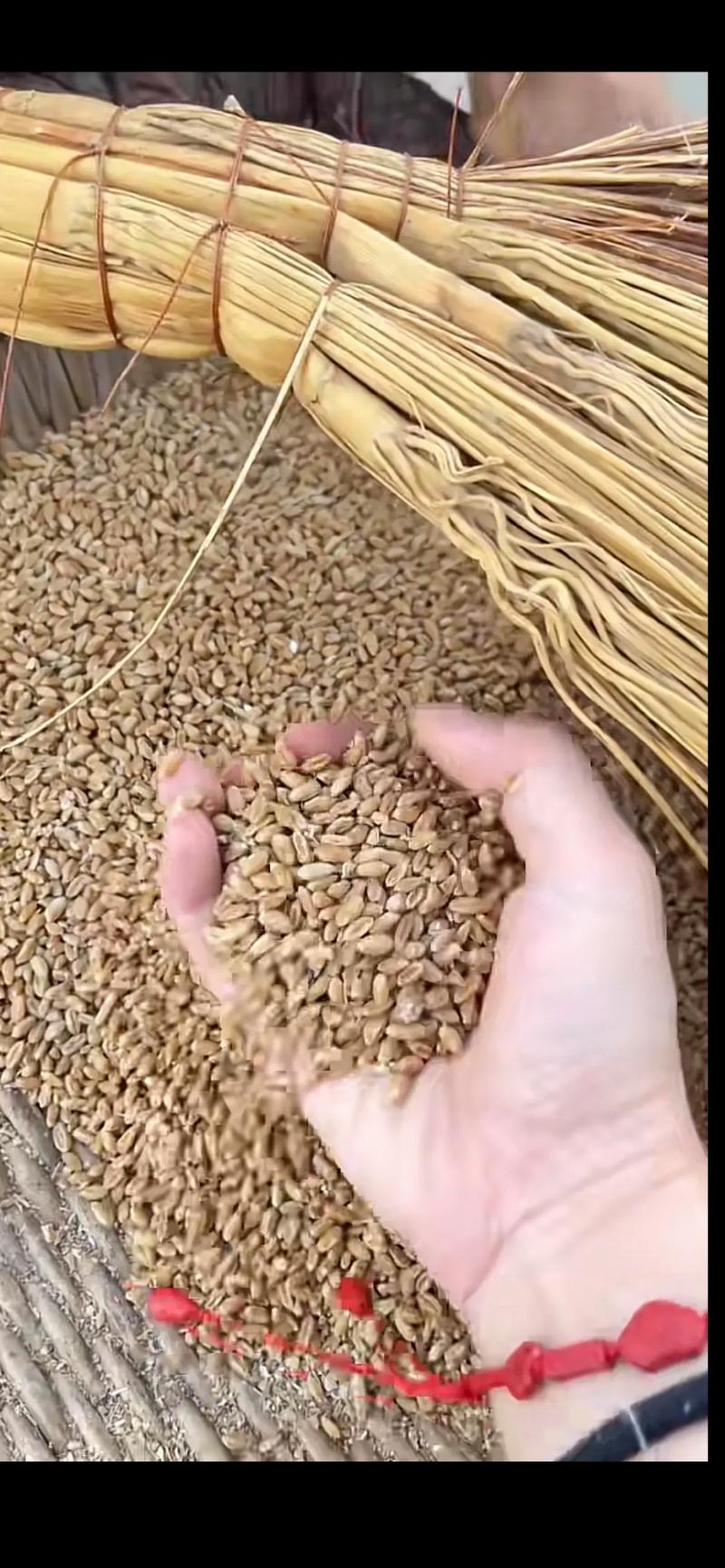 麦子和谁在一起了交换