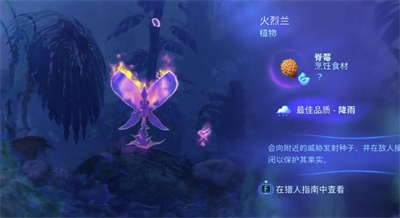 阿凡达潘多拉边境实地考察攻略