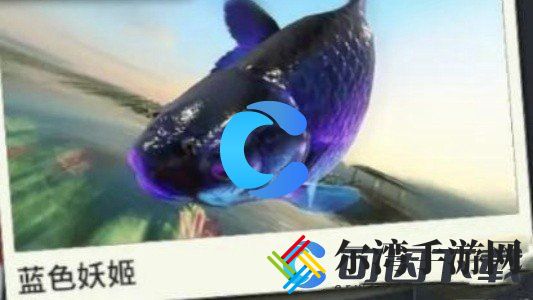 欢乐钓鱼大师蓝色妖姬钓取技巧 破解游戏谜题秘诀