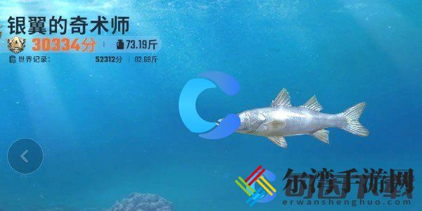 欢乐钓鱼大师全鱼类图鉴一览 掌握战斗技巧的必看攻略