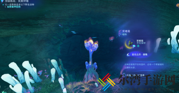 阿凡达潘多拉边境贤者菇位置分享