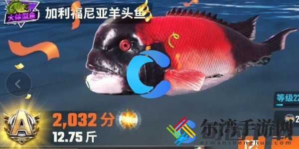 欢乐钓鱼大师全鱼类图鉴一览 掌握战斗技巧的必看攻略