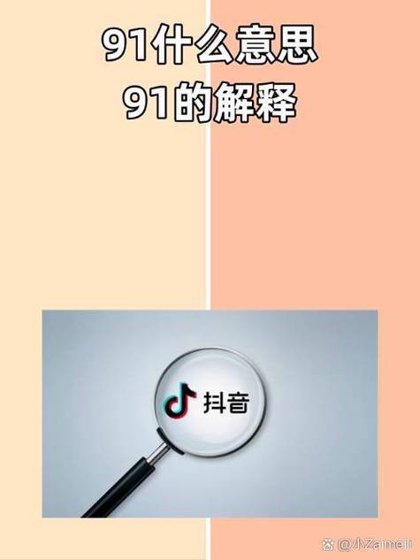 91入口是什么