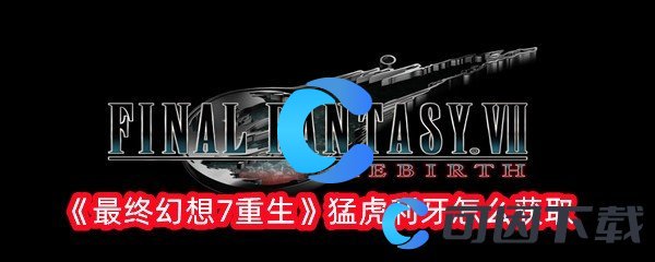 最终幻想7重生猛虎利牙怎么获取 如何建立强大的人脉网络