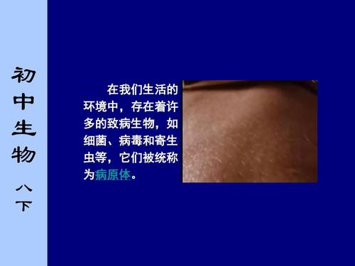 翁止熄痒之苏钥十章