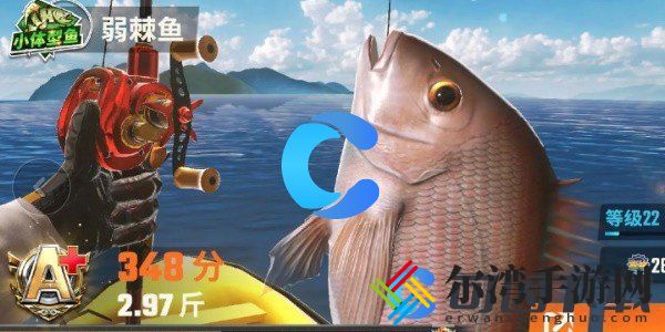 欢乐钓鱼大师全鱼类图鉴一览 掌握战斗技巧的必看攻略