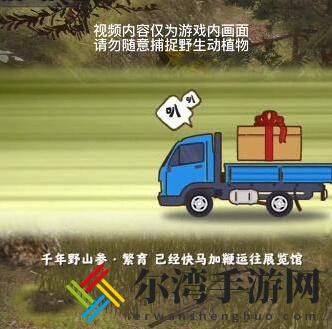 夺笋高手金色彩蛋攻略