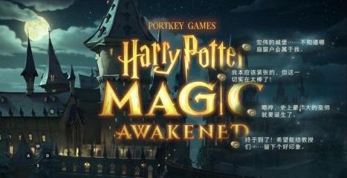 哈利波特魔法觉醒咒术流贝拉卡组搭配攻略 咒术流贝拉怎么玩-游戏潮