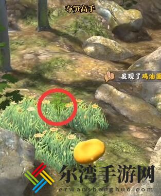 夺笋高手金钗石斛怎么获得