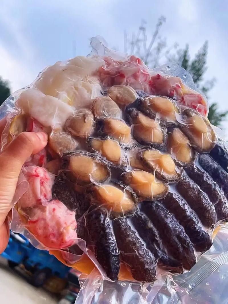 性鲍视频