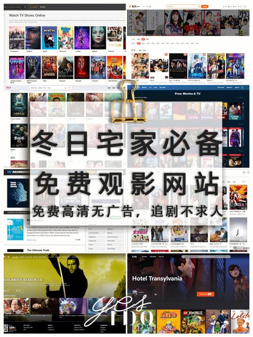 免费网站在线观看人数在哪省