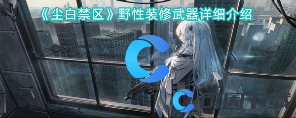尘白禁区野性装修武器详细介绍 新手如何快速适应游戏节奏？