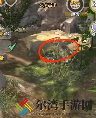 夺笋高手金钗石斛怎么获得
