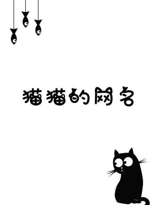 猫咪mv最网名在线观看免费