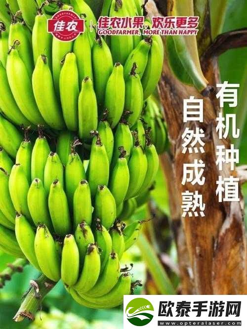 在线香蕉视频