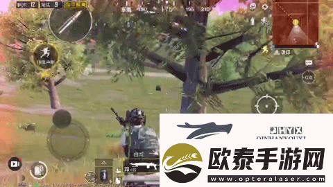和平精英圣域宝箱在哪里