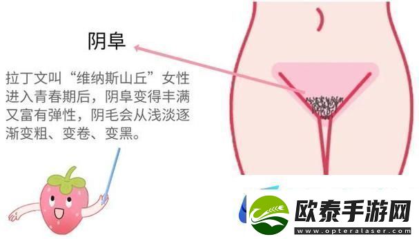 探寻“大荫蒂bbbbbb大荫蒂”的无限魅力
