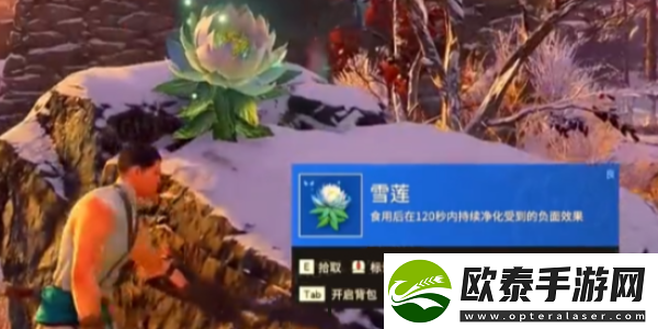 永劫无间雪莲刷新位置介绍