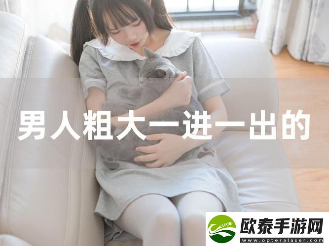 探索“大肉大捧一进一出的视频”的独特魅力与背后故事