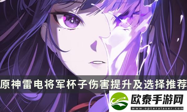 原神雷电将军杯子伤害提升及选择推荐