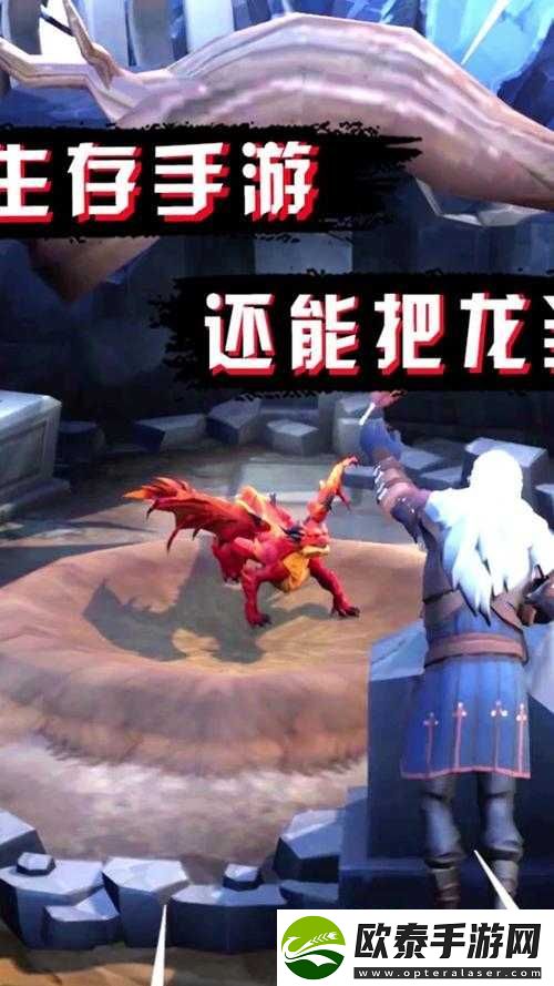 冰原守卫者深度攻略