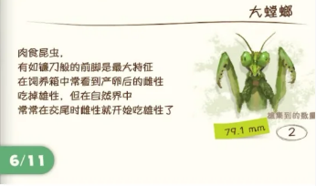 蜡笔小新煤炭镇的小白螳螂抓捕攻略