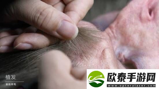 黑神话半身像幕后大揭秘！33800元