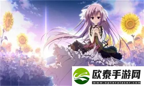 日韩妆和欧一区二区区别是什么