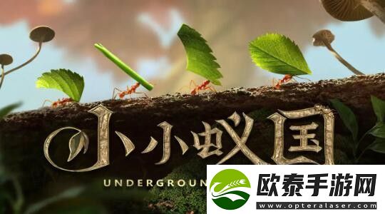 小小蚁国阵容怎么搭配