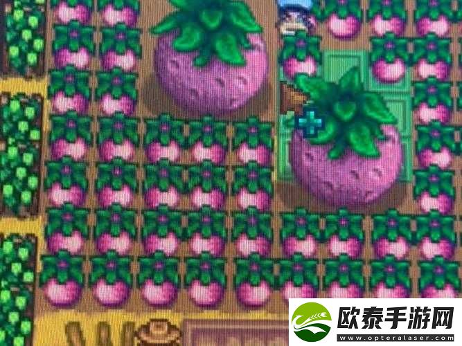 星露谷物语游戏攻略