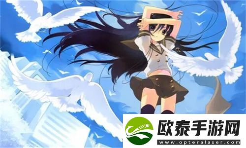 法国满天星八尺夫人菲律宾