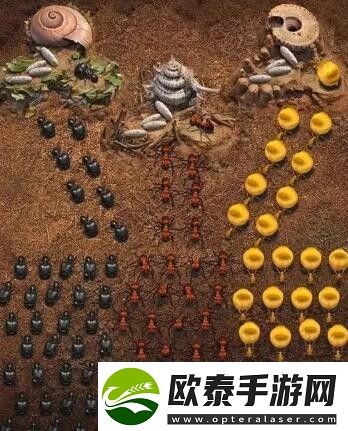 小小蚁国阵容怎么搭配