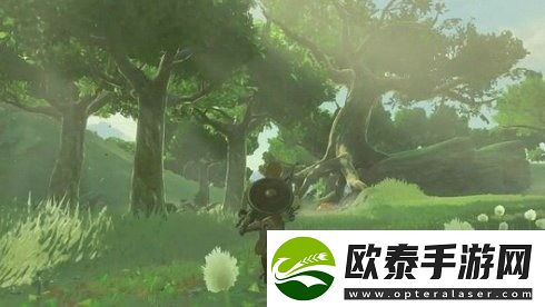雷之神兽瓦娜波力斯攻略