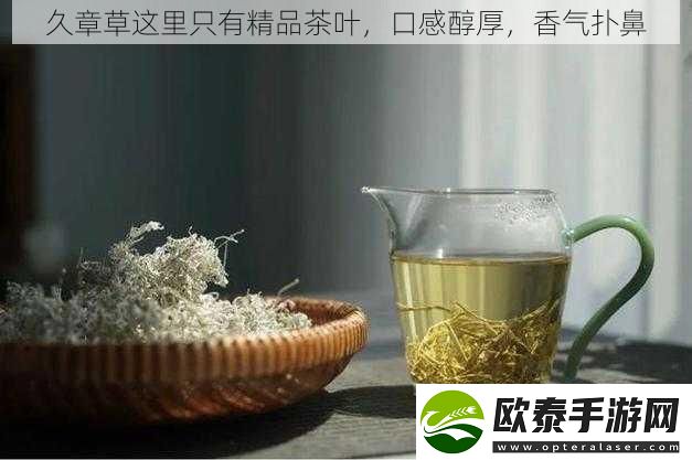 久章草这里只有精品茶叶