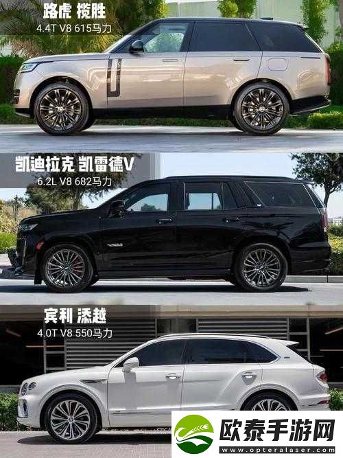 揭秘成熟欧美精品