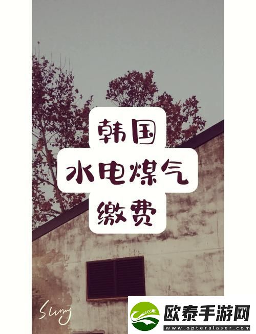 探秘好看的韩国三色电费背后的美学与设计