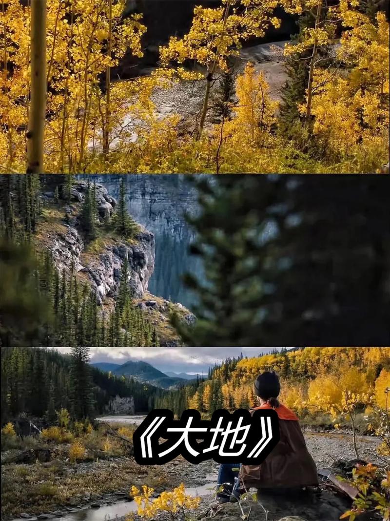 大地资源二高清版免费观看下载