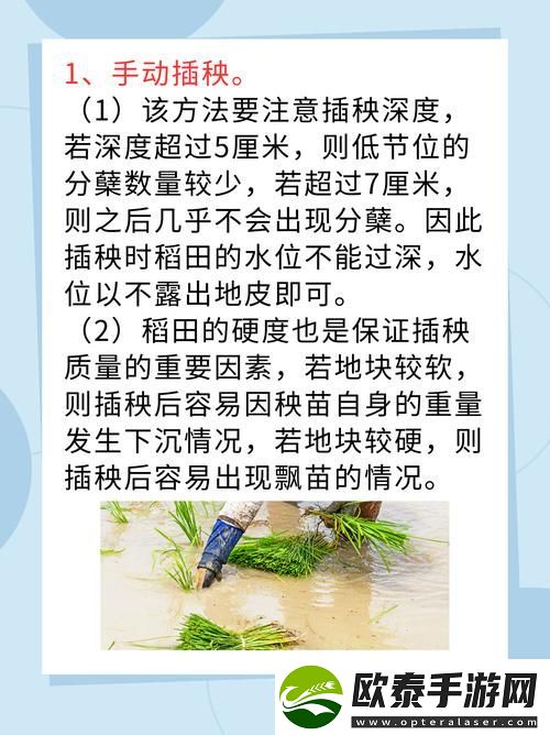 夫妻插秧38种方法图片大全