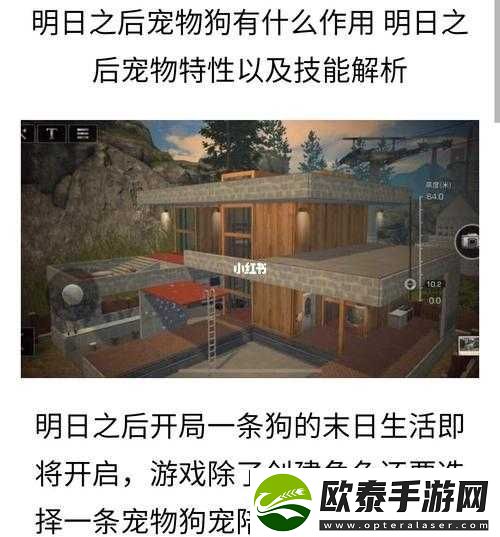 明日之后宠物狗玩法全面解析