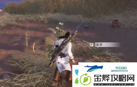 燕云十六声杏花不见怎么获得