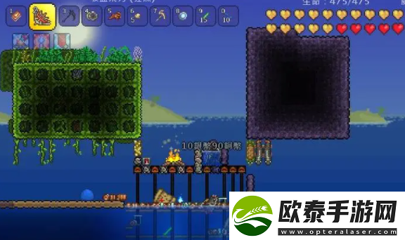 泰拉瑞亚派对弹怎么样