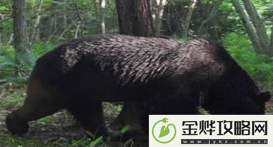 游你扯淡