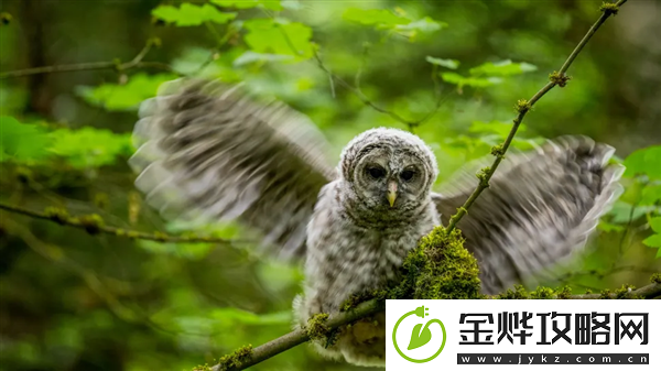没用的知识增加了