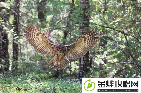 没用的知识增加了