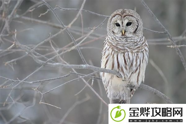 没用的知识增加了