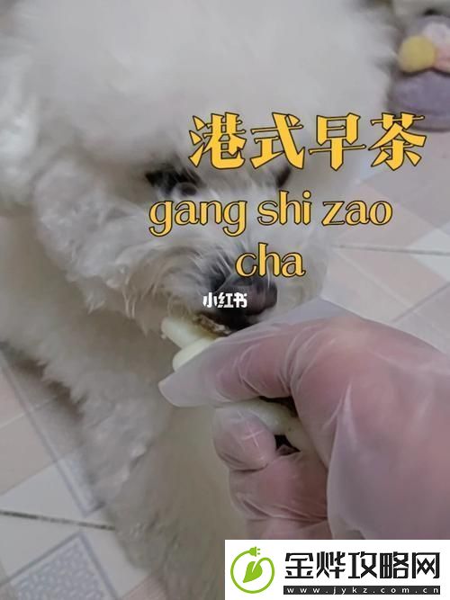 深入了解“美国人与动物胶配方大全”的多样应用