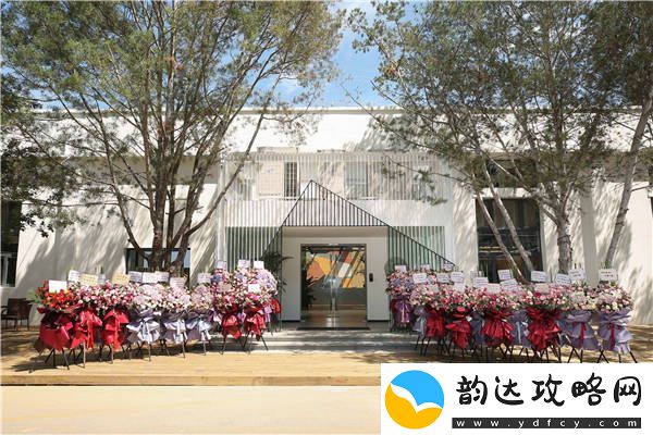 韶愔音乐娱乐扬帆起航