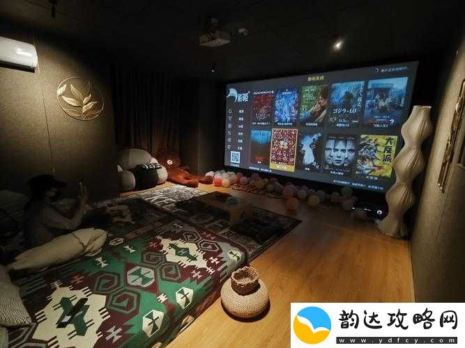 私人家庭影院