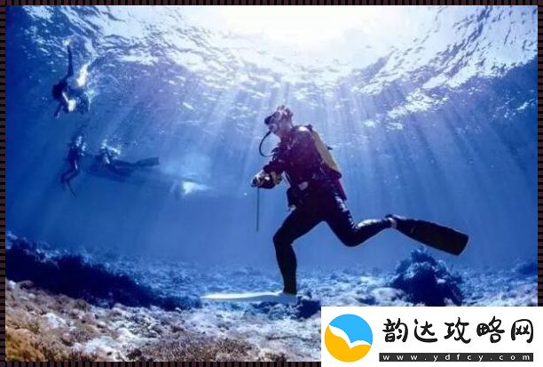 潮起潮落